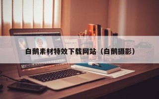 韩城白鹅素材特效下载网站（白鹅摄影）